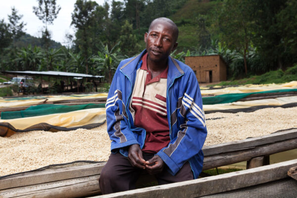 Rwanda Nyungwe 567 - Honey - Imagen 4