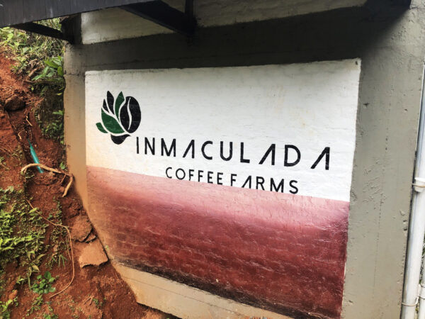 Colombia Inmaculada Fellows - Imagen 7