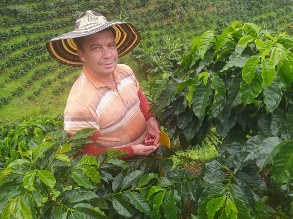 Colombia Finca La Esperanza - Imagen 4