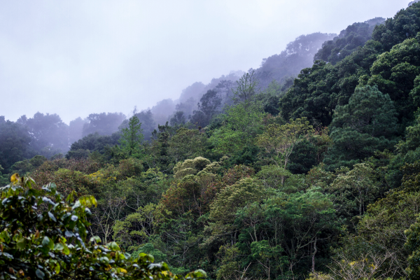 Nicaragua Los Nubarrones - Imagen 6