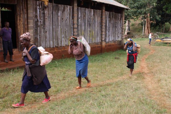 Kenya Nyeri Njuriga - Natural Aneróbico - Imagen 4