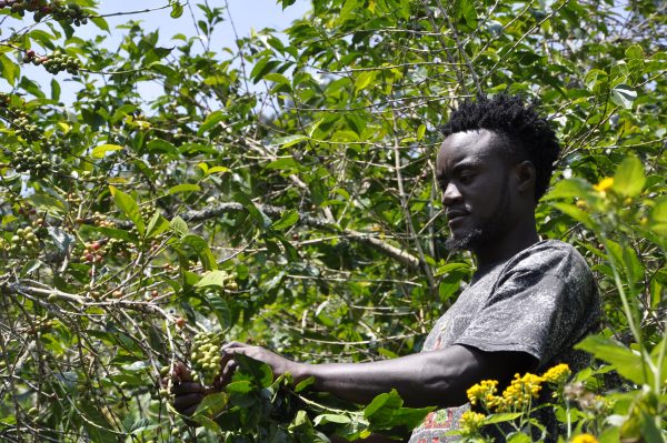 Uganda - Bukozo Dream - Imagen 4